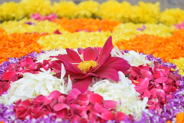 onam-1737054_640